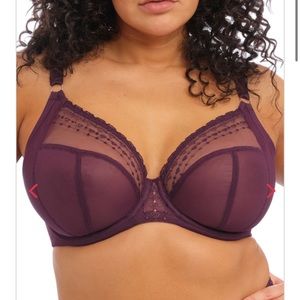 Elomi Matilda Plunge Bra 40G in Wine Diamond